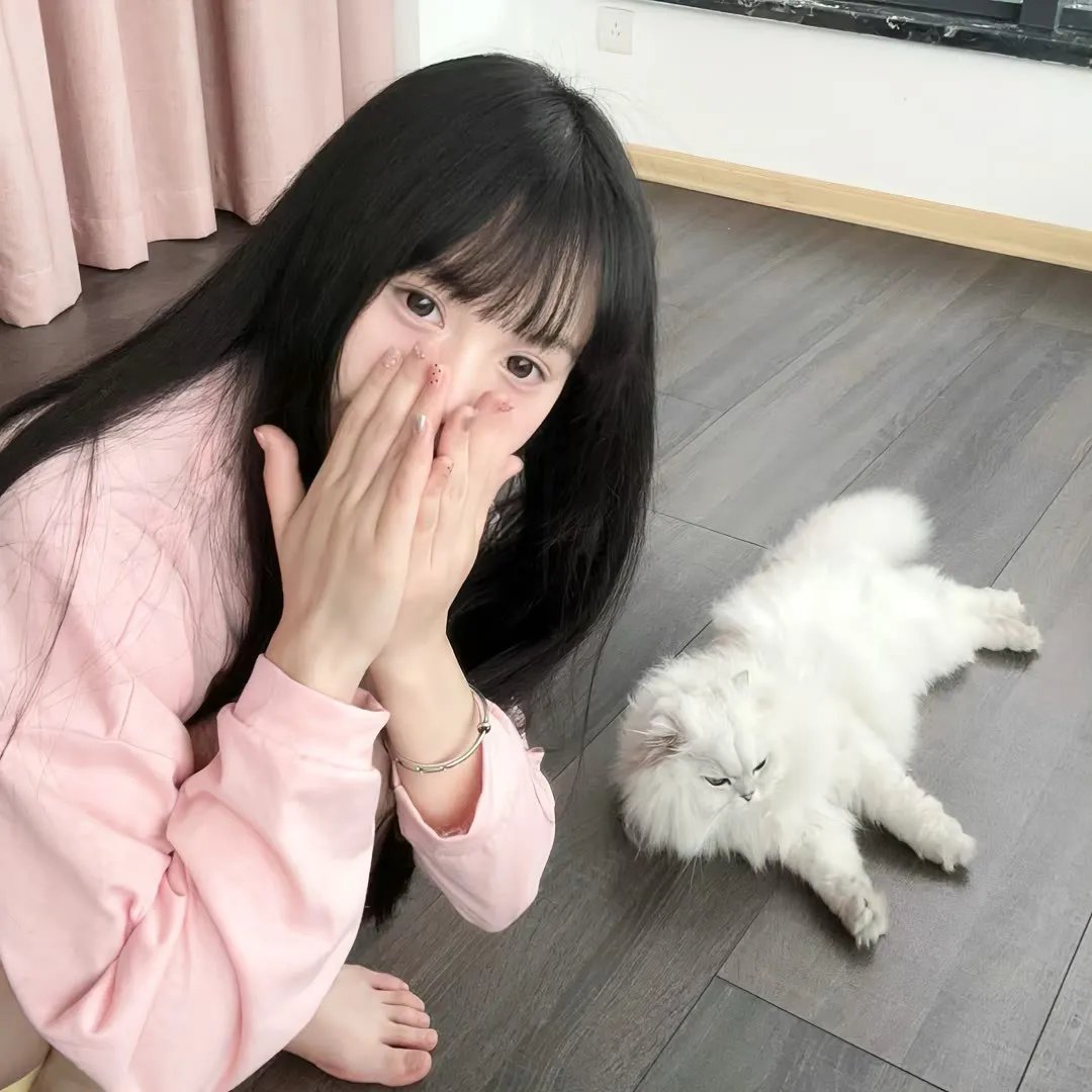 夜短梦长，少女前进吧！